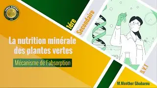 1ère année || SVT || Cours : Mécanisme de l'absorption