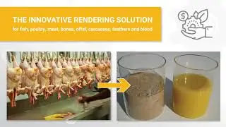 Celitron ISS AGRI Facility_rendering system for chicken/poultry