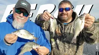 White Perch Fishing (Delaware Spring Run)