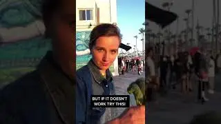 HOW TO FIND VEGAN BOYFRIEND