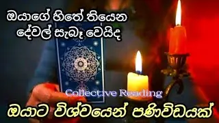 Collective Reading 🌟 ඔයා විශේෂ කෙනෙක් නම් මේ පණිවිඩය ඔයාට #sinhalatarot 