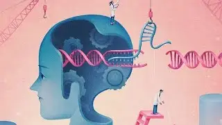 Division  cellulaire🧫🦠 mitose et m&egrave;iose l2 g&egrave;netique