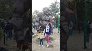 Jungle Trail Animals 🐒🦌 | Amazing Wildlife Capture