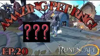 I did NOT deserve this pet drop! Brand new slayer master and fort update! | Finding Completion 20