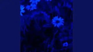 Waiting (feat. Nia Nadurata)