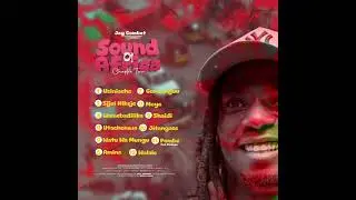 JAY COMBAT - WAMEBADILIKA TRACK 03 (Singeli Audio) #Albam #SoundOfAfricaChapter 2