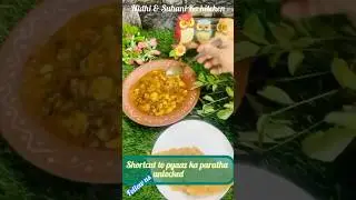 Onion parantha/pyaj ka parantha shortcut /indian breads