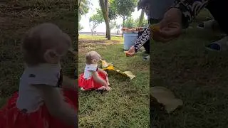 Chip talking to strangers