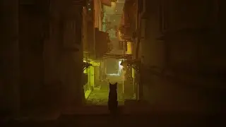 Stray walkthrough - All memories - Part 2