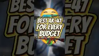 best cs2 ak47 skin for every budget #cs2 #counterstrike