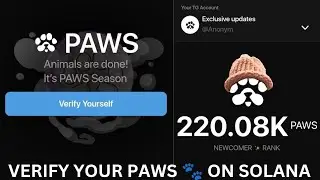 Latest update,. Paws 🐾 leaving Telegram, steps on how to verify multiple accounts on phantom wallet