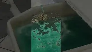 Service Μηχανής καφέ  La San Marco  95-21-2 του 1995