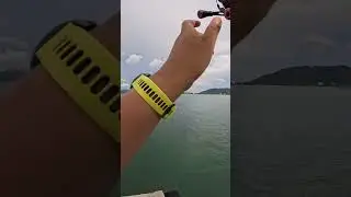 Mmg mudah cari lauk guna Apollo (Sabiki Rig) penuh bekas ikan aku. Alhamdulillah. #Fishing #Mancing