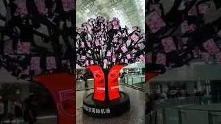 #shorts #short Indoor advertising LED Display Brand Advertising Multimedia Creative Business display