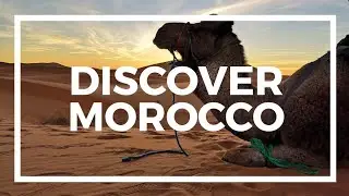 Discover Morocco