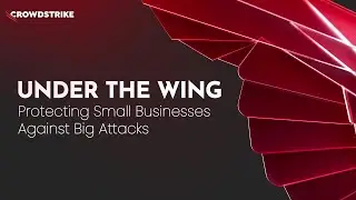 Under the Wing: Protecting Small Businesses Against Big Attacks