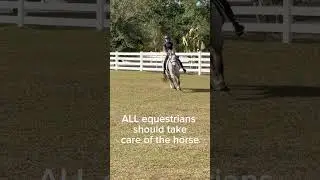 My equestrian options part four #viralshorts