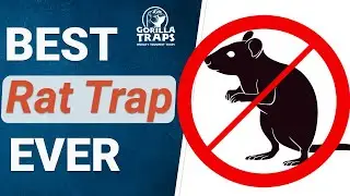 Why Gorilla Traps? Because of Humaneness!!