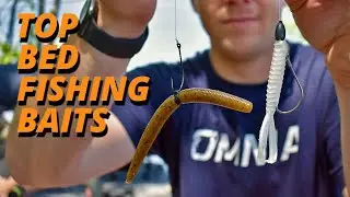 Patrick Walters' Top Bed Fishing Baits