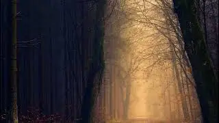 low data consuming relaxation music video