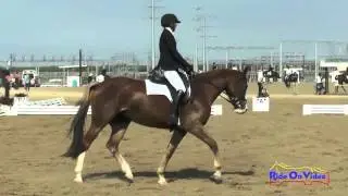 159D Alex Hawkinson on Snow Angel SR Beginner Novice Dressage FCHP October 2015