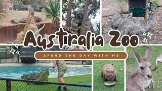 Not All Australian Animals are Dangerous...🐊 🐍 🕷️ | Australia Zoo Vlog 🇦🇺