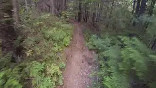 TNT lower portion, Mount Macpherson, Revelstoke