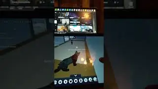Нену наконетсто кв видио с кв призыв Stalker Cat☆♡💝🎀