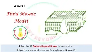 Fluid mosaic model of Plasma membrane structure