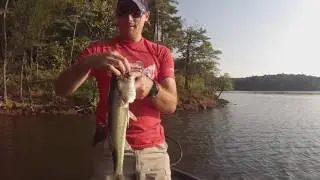 911 Custom Lures