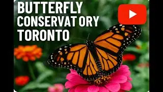 Butterfly conservatory -Niagara  Park
