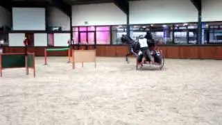 IHDT Hand  Feb Cocky Indoor Carriage Driving Trials