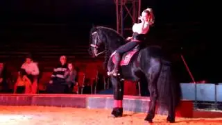 Zirkus der Pferde in Mannheim