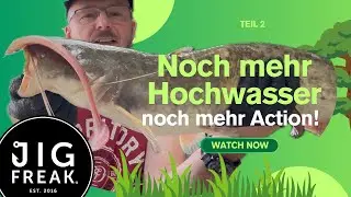 Teil 2 Donau bei Hochwasser  4