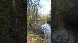 Calm Creek View at Ravenscrest Park #40 🍂💧 | Relaxing Nature
