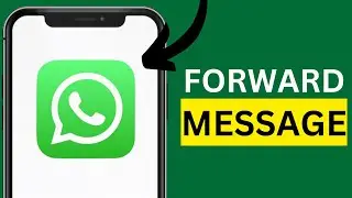 How to Forward a Message on WhatsApp (Updated)