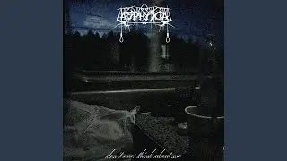 Snow on Your Tears