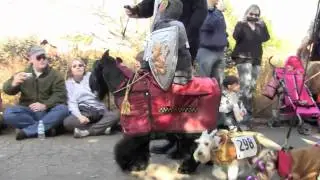 Scenes from 2010 Spooky Pooch Parade