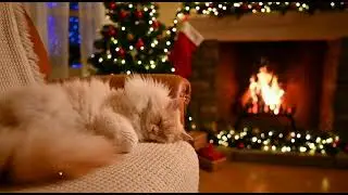 Cozy Christmas Cat Sleeping by the Fireplace | Relaxing ASMR Loop