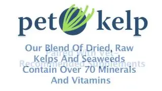 Pet Kelp supplements for dogs and cats- overview