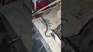 SENSOR speed meter WIRE NG HONDA CLICK