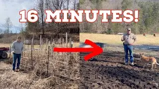 I Cleaned the WHOLE Garden in 16 Minutes (Here's How)