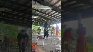 fakamapa paluni lol Pepe va Nuku x Talalei 2025 x Laeva i Suva