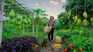 Harvest: Custard Apple, White Eggplant, Chayote, Mangoes, Palermo To Sell At The Market - Farm Life