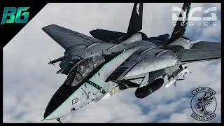 Cleared Weapons HOT!! | F-14 Tomcat | DCS World Co-op Multiplayer