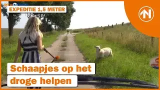 Schaapjes op het droge | Expeditie 1,5 meter