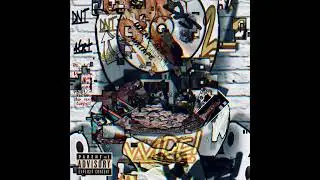 SBMG SHIDDY - NiGGAZH8NiGGAZ (VISUALIZER)