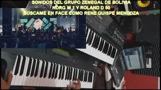 GRUPO ZENEGAL 