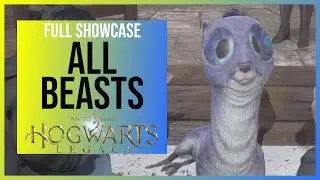 Hogwarts Legacy: All Beasts Showcase | Feeding and Brushing every Magical Creature