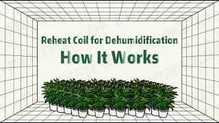 Altaqua Blog | How Altaqua HVAC System Uses Reheat Coil for Dehumidification